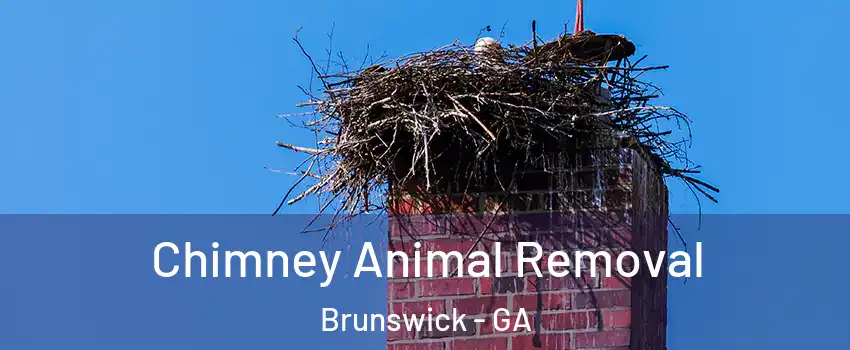  Chimney Animal Removal Brunswick - GA