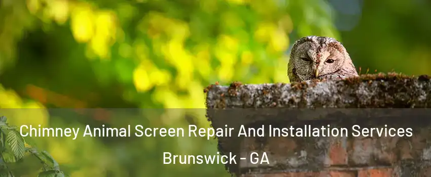  Chimney Animal Screen Repair And Installation Services Brunswick - GA