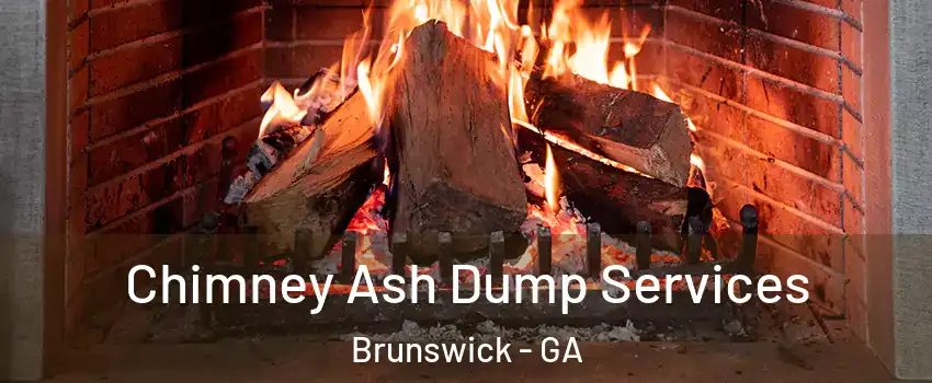  Chimney Ash Dump Services Brunswick - GA