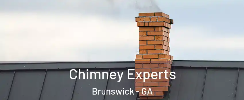  Chimney Experts Brunswick - GA