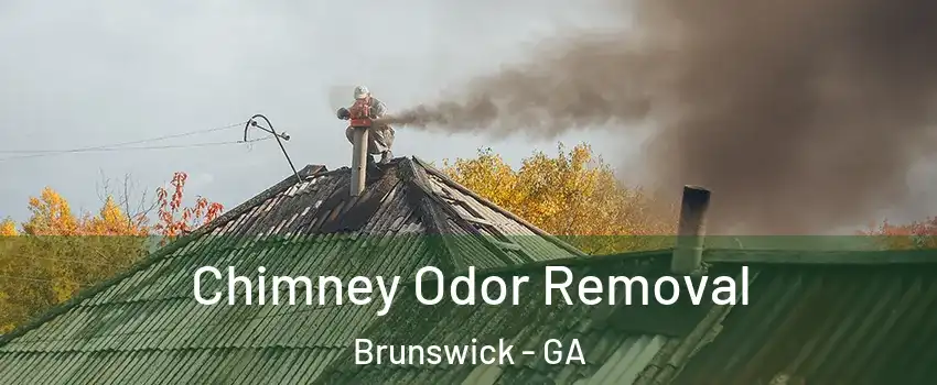  Chimney Odor Removal Brunswick - GA
