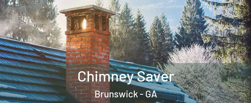  Chimney Saver Brunswick - GA