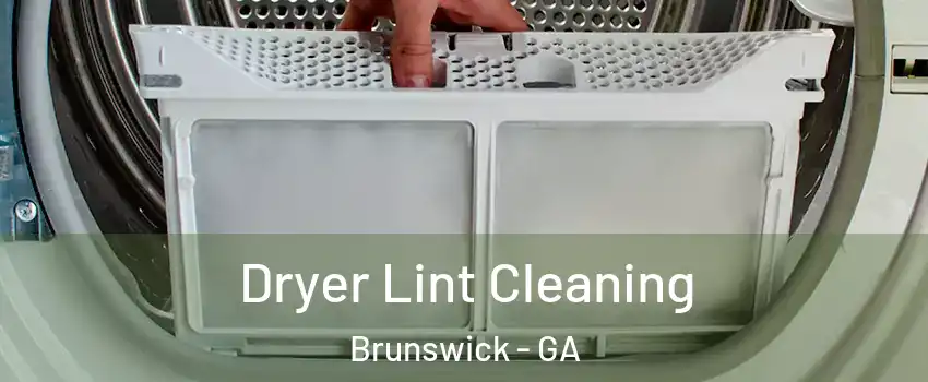  Dryer Lint Cleaning Brunswick - GA