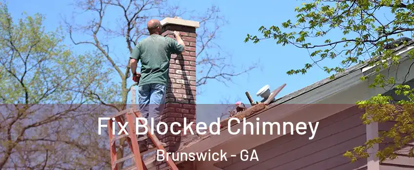  Fix Blocked Chimney Brunswick - GA
