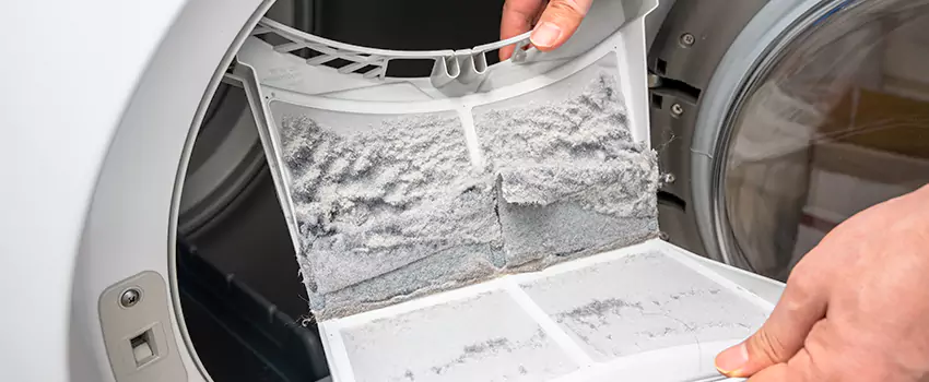 Best Dryer Lint Removal Company in Brunswick, Georgia