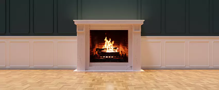 Napoleon Electric Fireplaces Inspection Service in Brunswick, Georgia