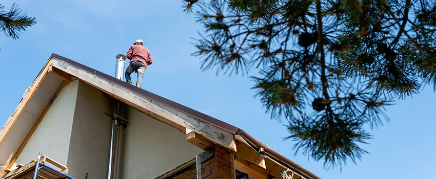Birds Removal Contractors from Chimney in Brunswick, GA