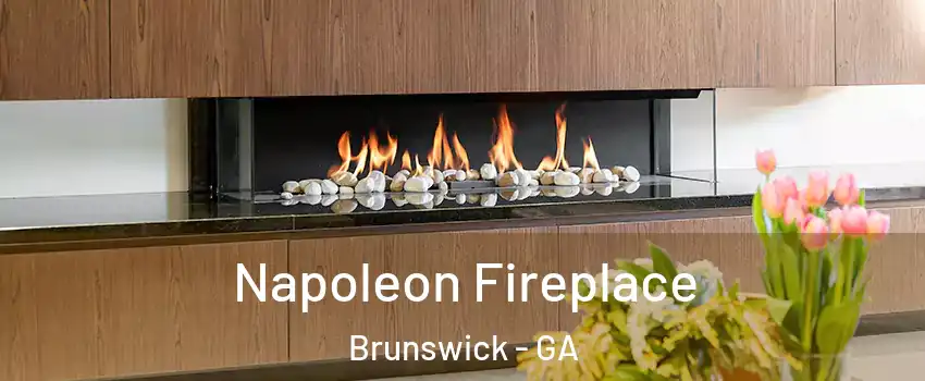  Napoleon Fireplace Brunswick - GA